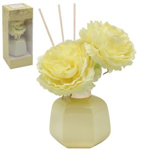 THE LEONARDO COLLECTION DESIRE VANILA & ANISE DIFFUSER 100ML