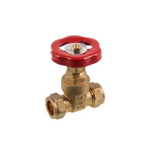 SECURPLUMB SU9716 GATEVALVE CXC 22MM