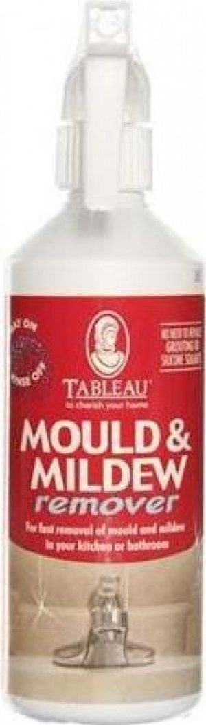 TABLEAU MOULD & MILDEW REMOVER 500ML