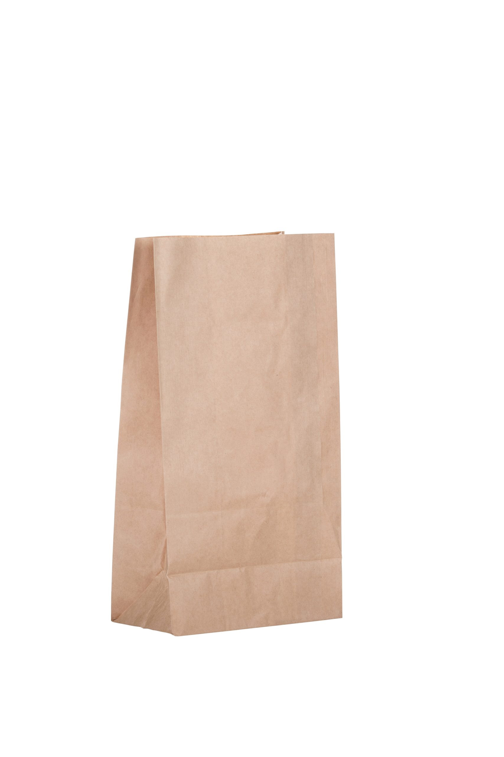 ProPac Brown Paper Bags - (h)345 x (w)175 x (g)115mm