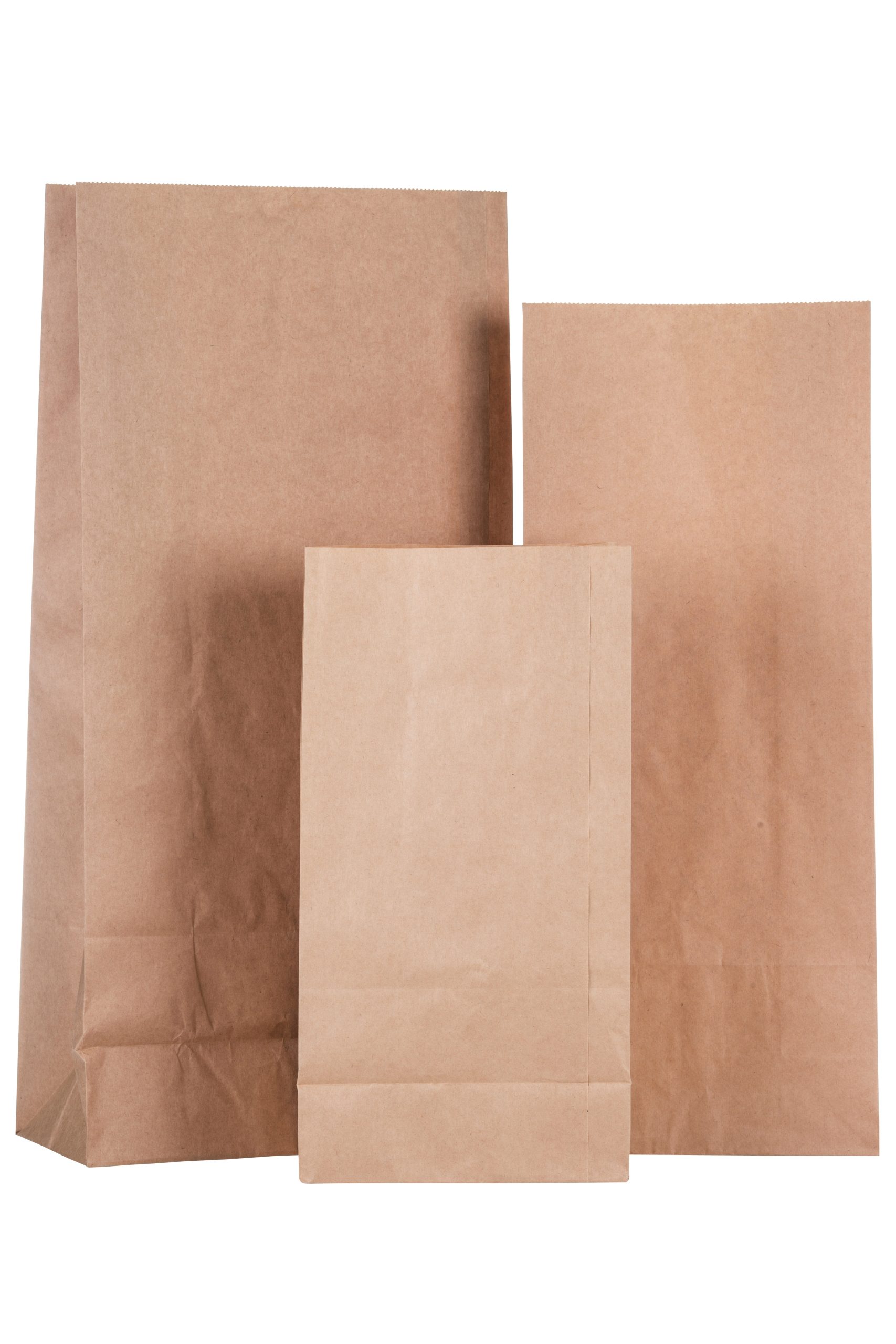ProPac Brown Paper Bags - (h)345 x (w)175 x (g)115mm