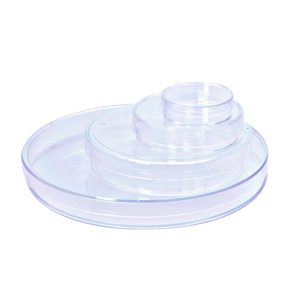Cell Culture Dish