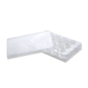 Cell Culture Plates - 6 Wells