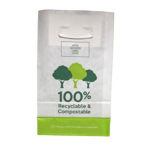 ProPac Non-NHS Paper Prescription Carrier - (h)300 x (w)180 x (g)80mm