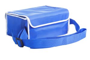 Vaccine Mini Porter with Ice Packs