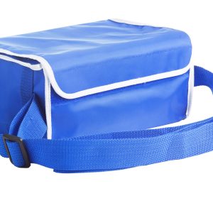 Vaccine Mini Porter with Ice Packs