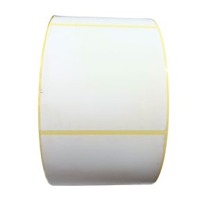 Status Plain Thermal Labels (Peelable) 100 x 100mm