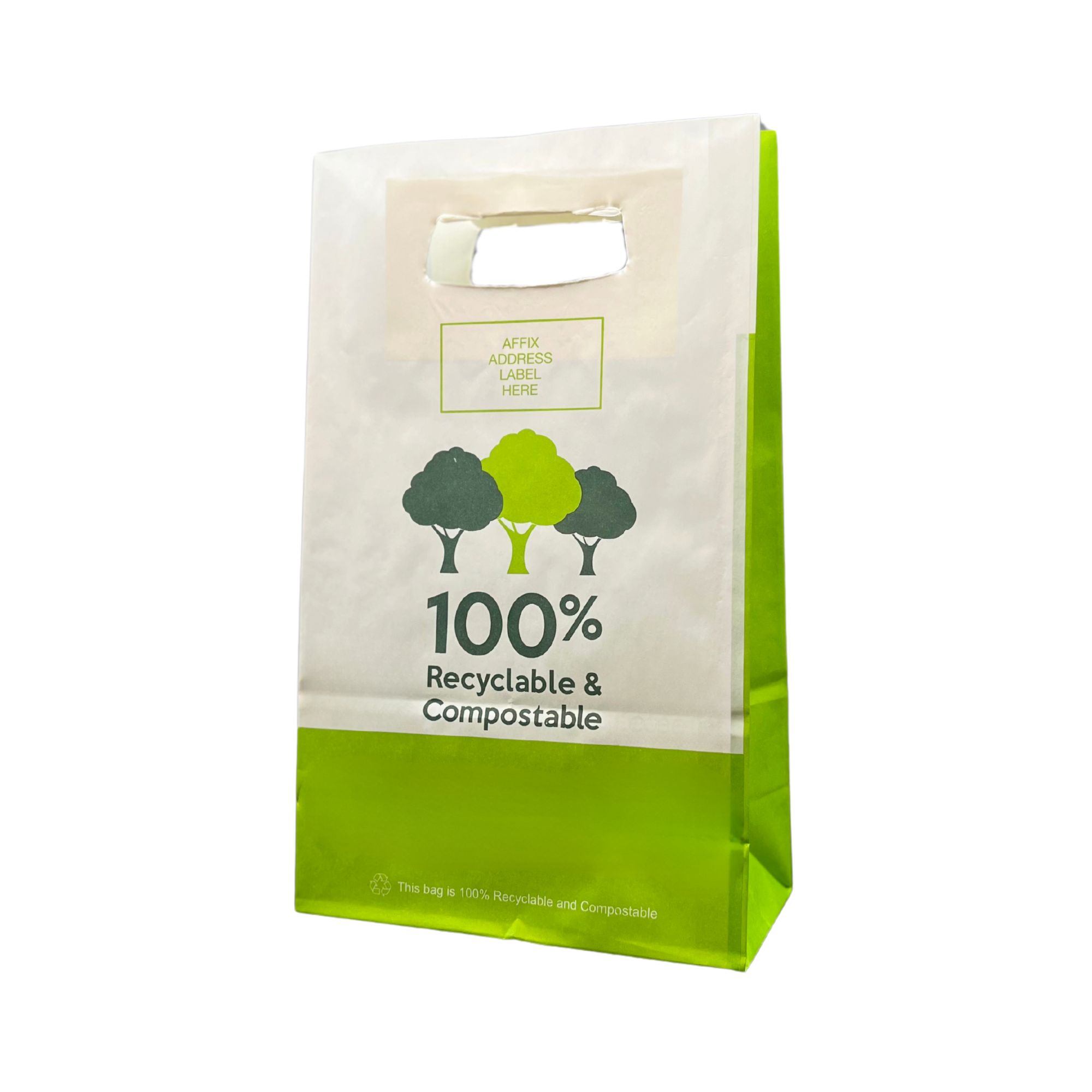 ProPac NHS Paper Prescription Carrier - (h)300 x (w)180 x (g)90mm