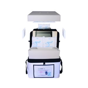 Vaccine Porter with Ice Packs